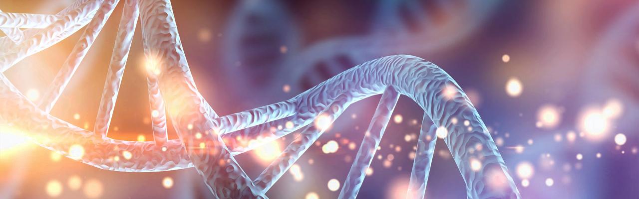 DNA