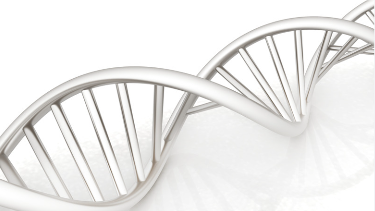 GPCP genetics 