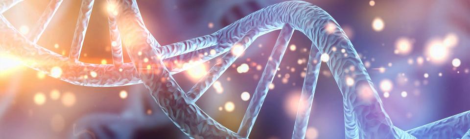 DNA