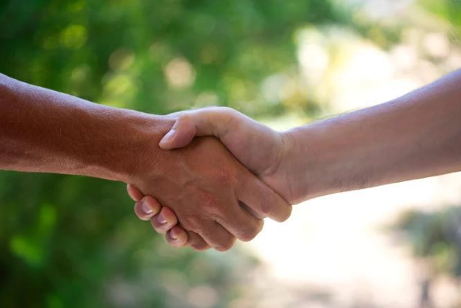 Partner handshake sample photo